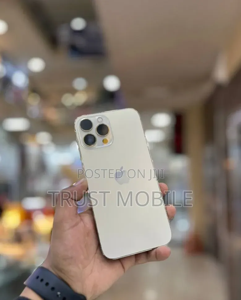 Apple iPhone 13 Pro Max 128 GB Silver