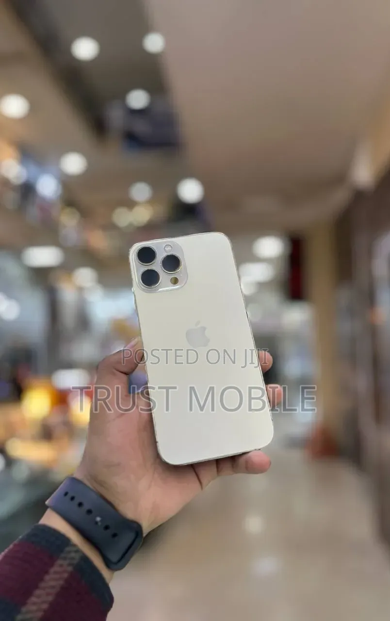 Apple iPhone 13 Pro Max 128 GB Silver