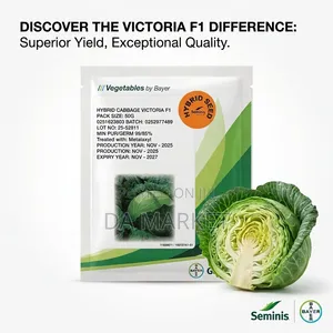 Victoria F1 Hybrid Cabbage Seeds