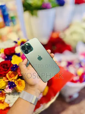 New Apple iPhone 13 Pro Max 256 GB Green