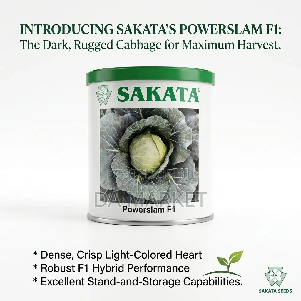 Sakata Powerslam F1 Dark Green Cabbage Sakata Seeds