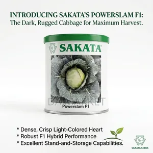 Sakata Powerslam F1 Dark Green Cabbage Sakata Seeds