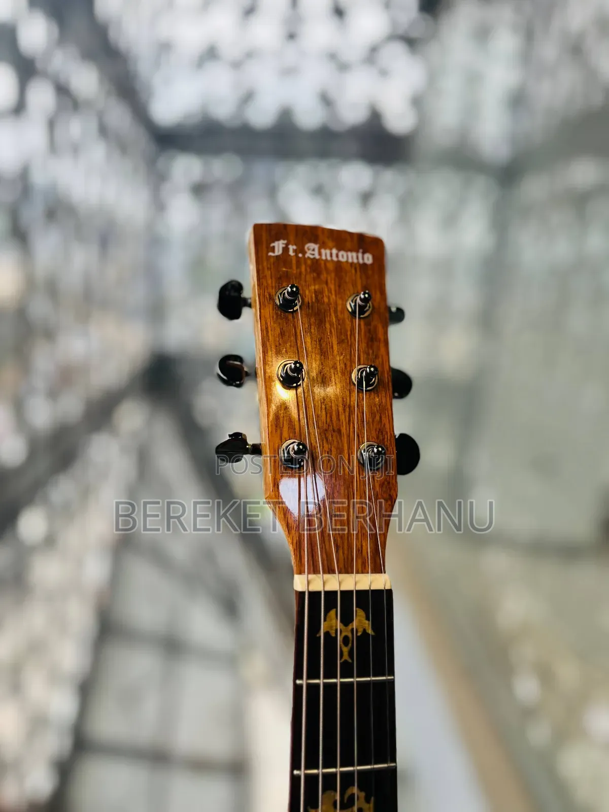 fr.antonio Semi Acoustic Guitar Guitar New Condition
