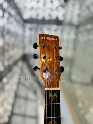 fr.antonio Semi Acoustic Guitar Guitar New Condition