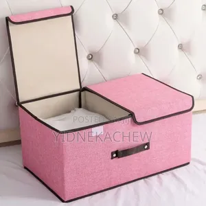 Dust Proof Foldable Storage Bix With Lid