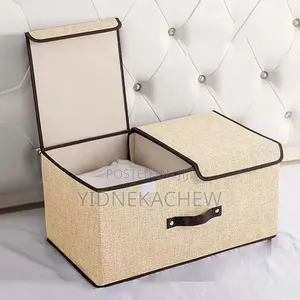 Dust Proof Foldable Storage Bix With Lid