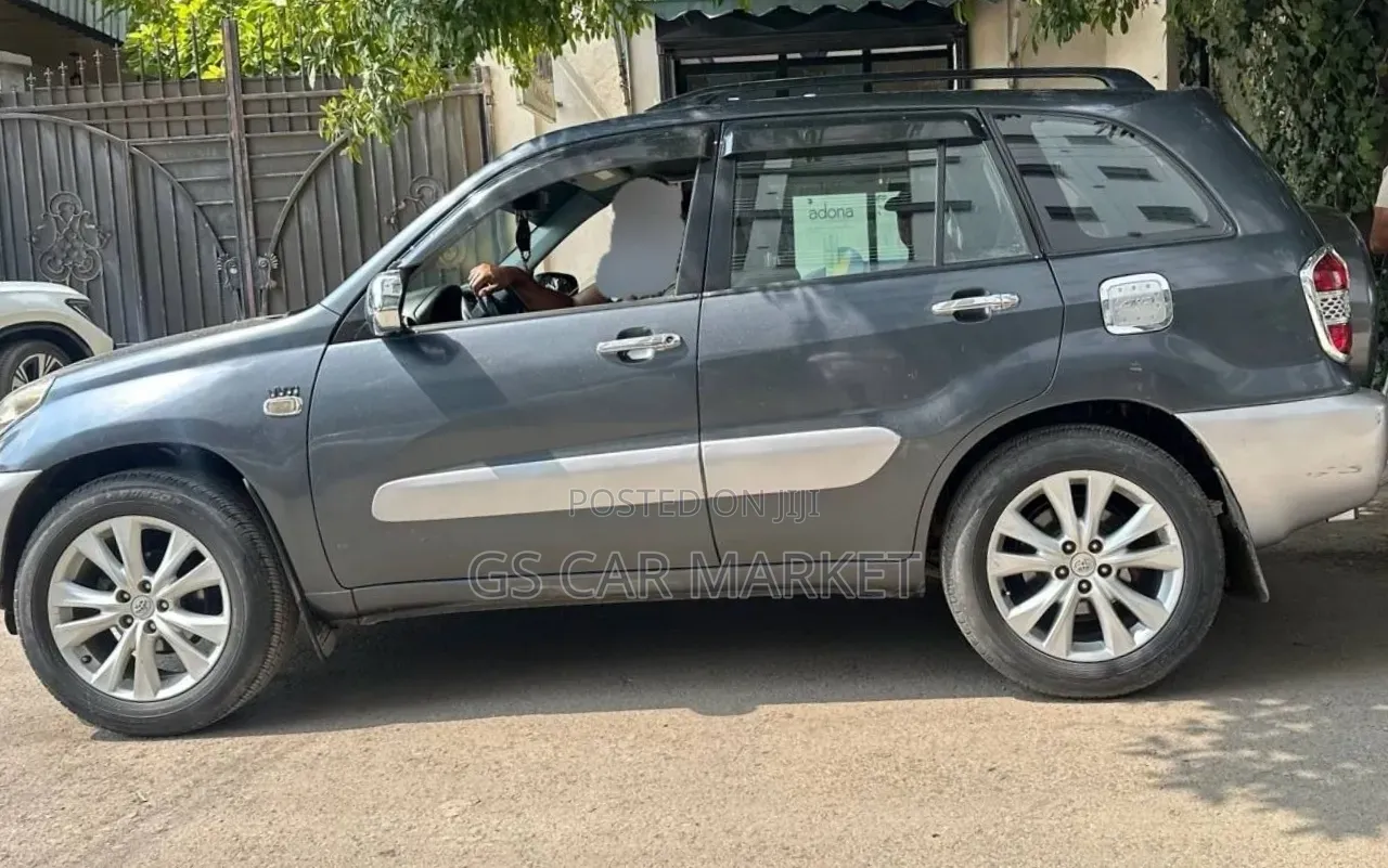 Toyota RAV4 2006 Gray