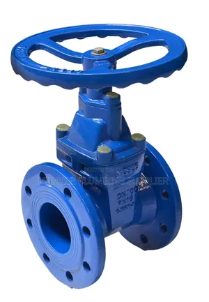 Flange Get Valve at 110