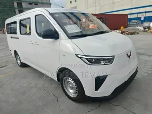 Wuling Sunshine 2025 White
