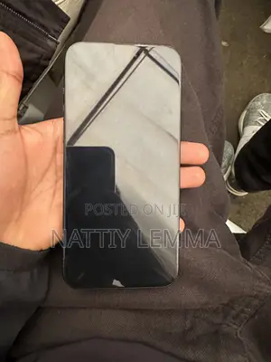 Apple iPhone 15 Pro Max 256 GB Blue