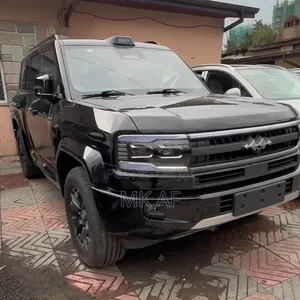 New BYD Leopard 5 2025 Black