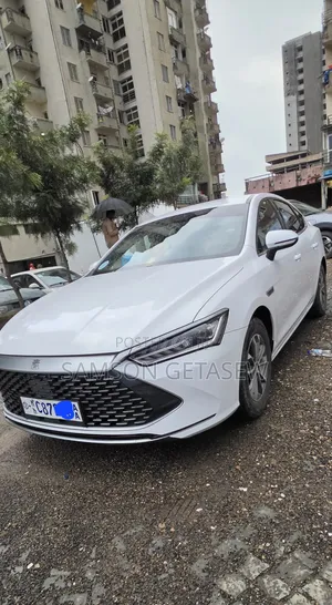BYD Qin Plus DM-i 2025 White
