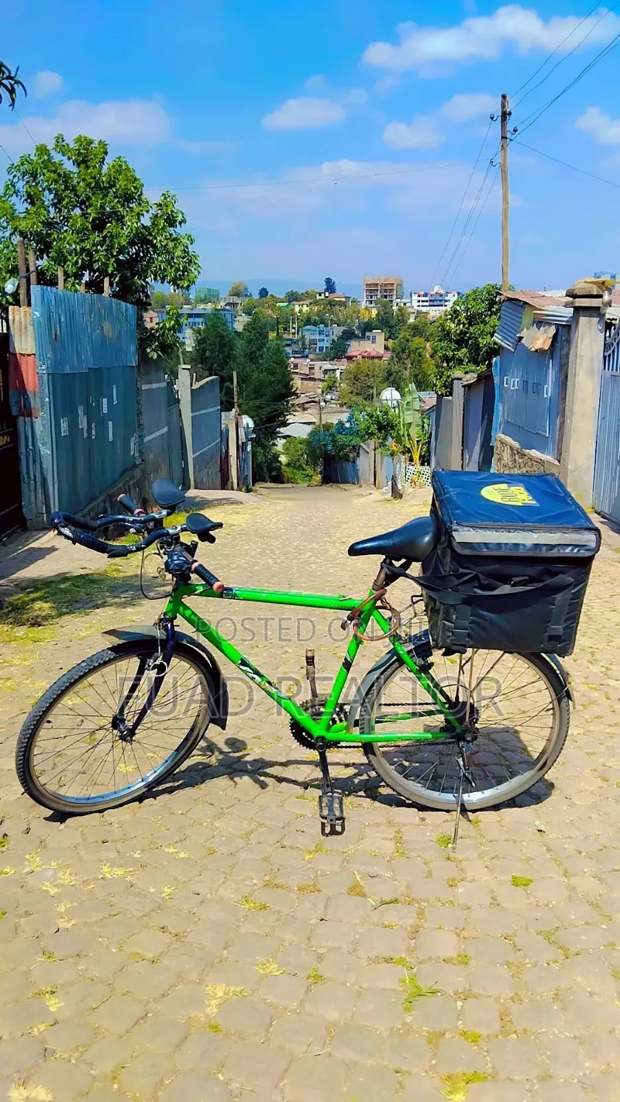 Phoenix Bicycle