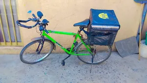 Phoenix Bicycle