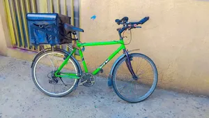 Phoenix Bicycle