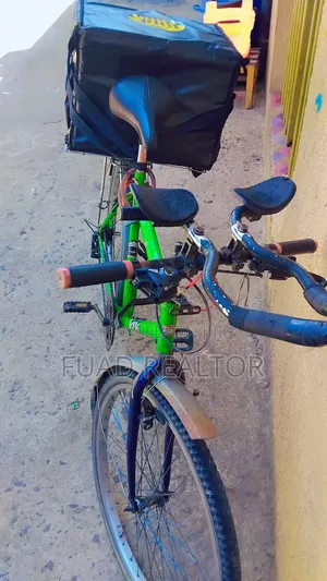 Phoenix Bicycle