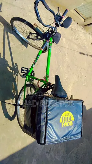 Phoenix Bicycle