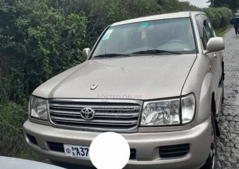 Toyota Land Cruiser 2004 Silver