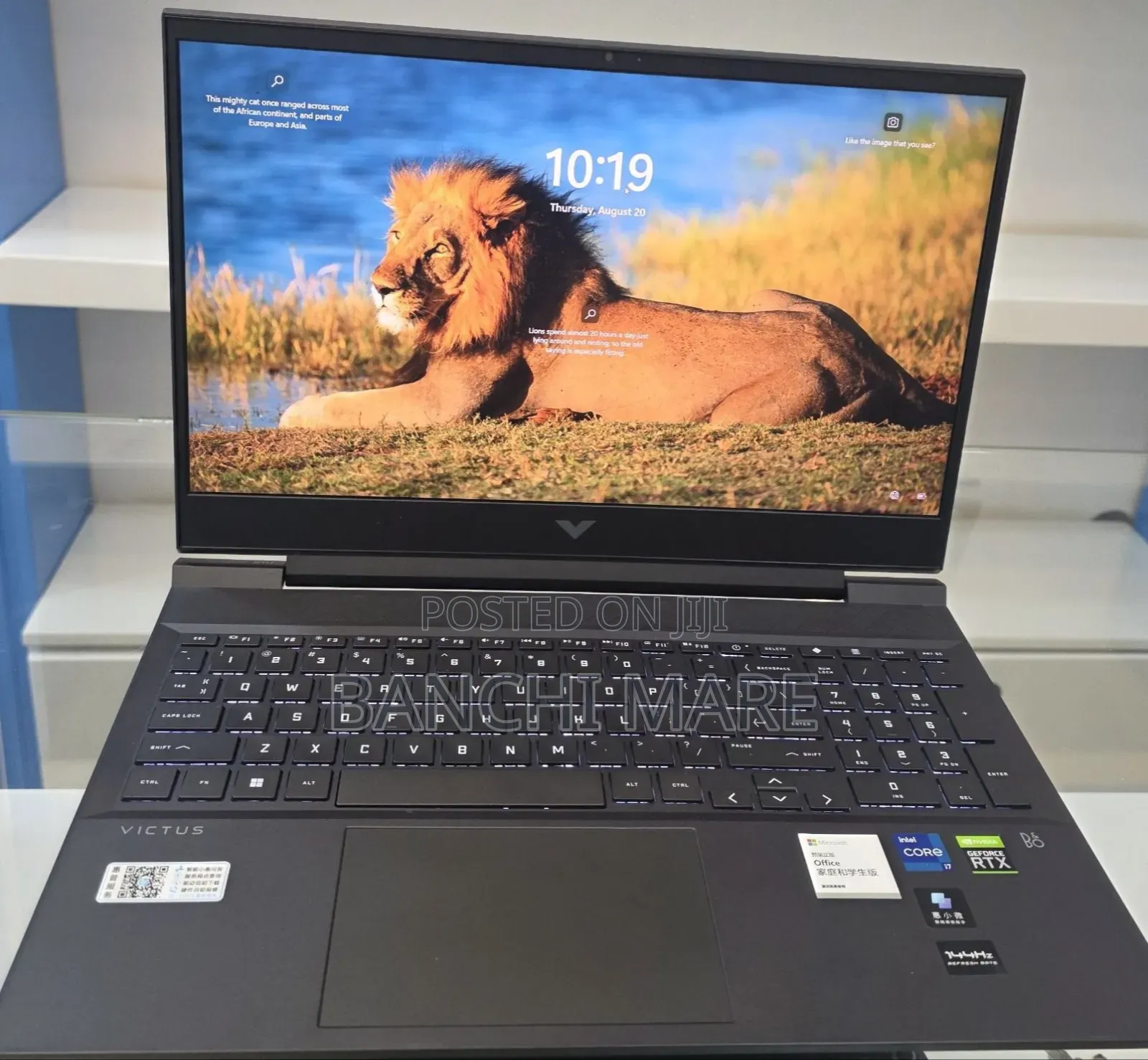New Laptop HP Victus 16 16GB Intel Core i7 SSD 512GB