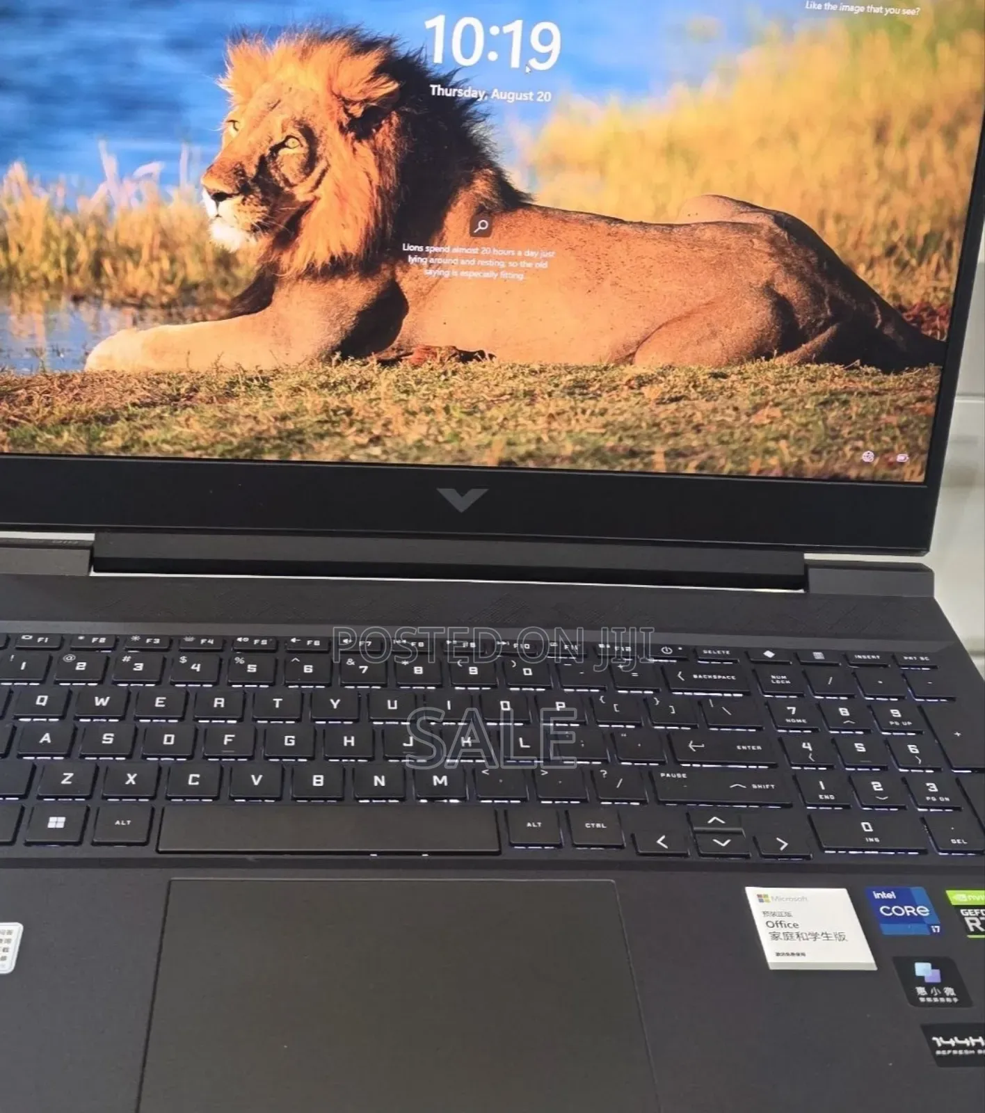 New Laptop HP Victus 15 16GB Intel Core i7 SSD 512GB