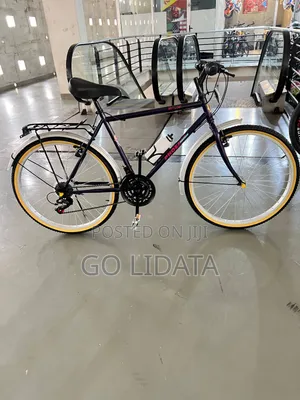 ፈኔክስ ጠንካራ ቢስክሌት – Phoenix Durable Bicycle