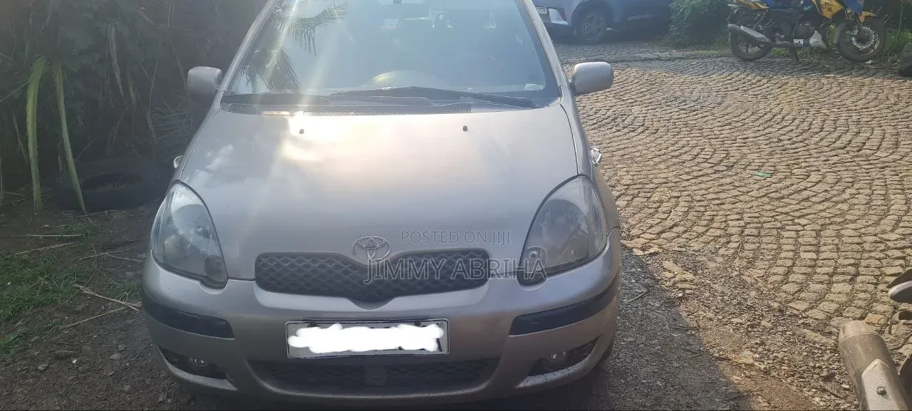 Toyota Yaris 2004 Brown