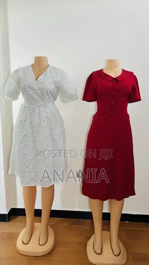 Ladies Dress