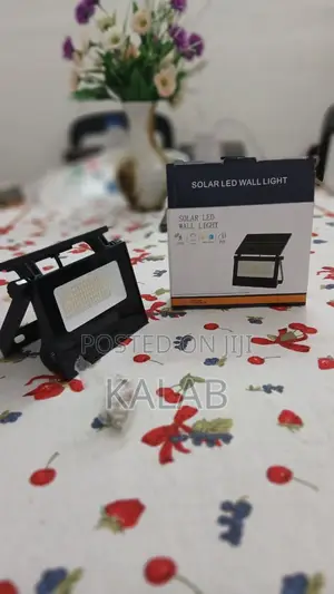 Solar Light