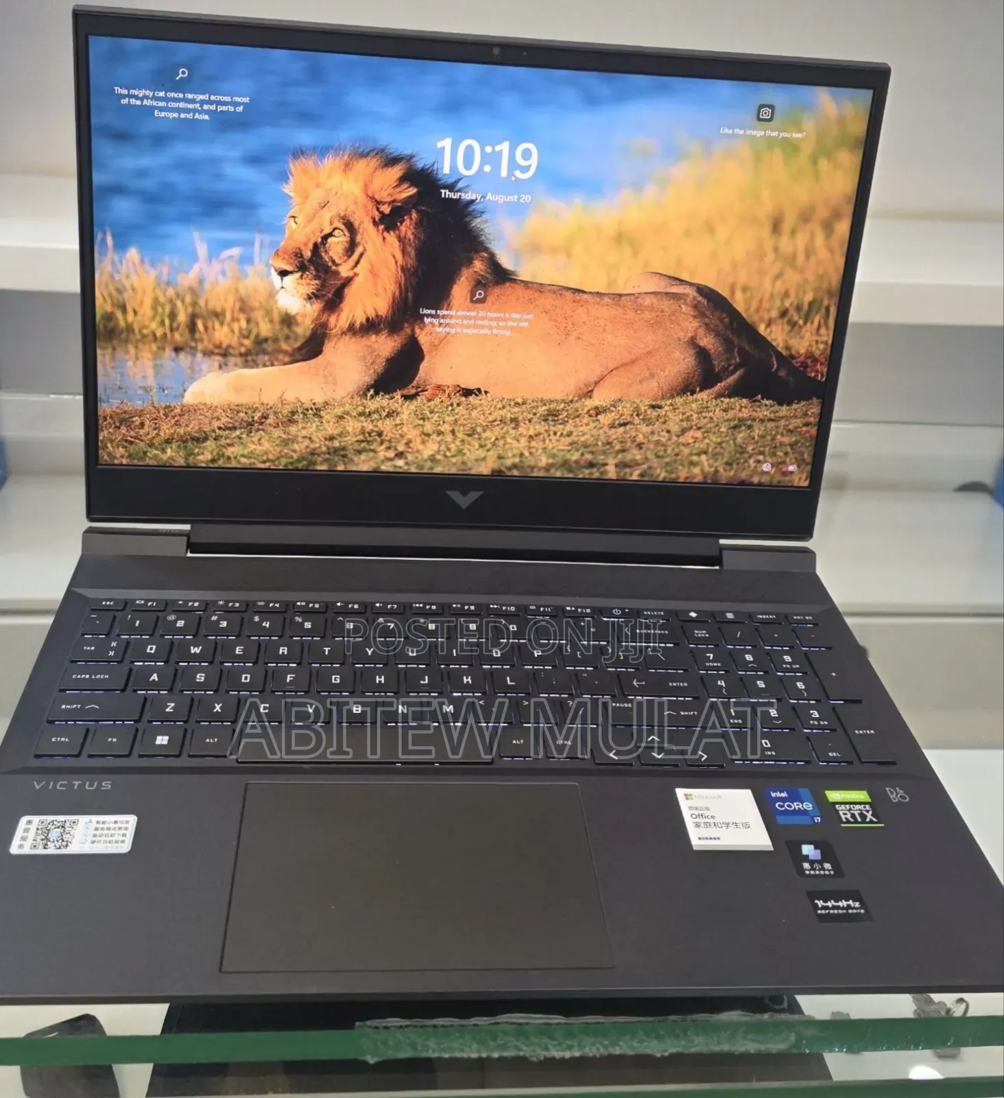 New Laptop HP Victus 16 16GB Intel Core i7 SSD 512GB