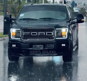 Ford F-150 2018 Matt Black