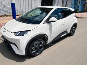 BYD Seagull 2024 Off white