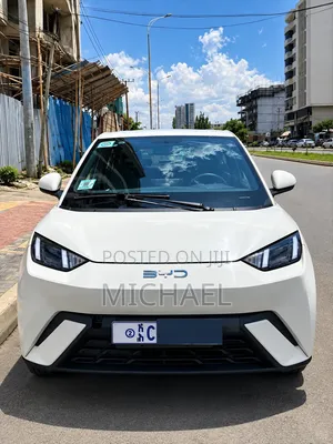 BYD Seagull 2024 Off white