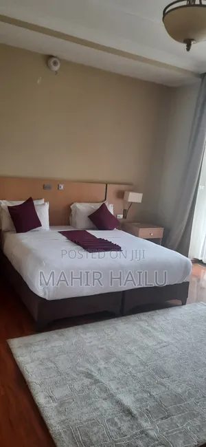 Furnished 1bdrm Apartment in Real, Bole for rent