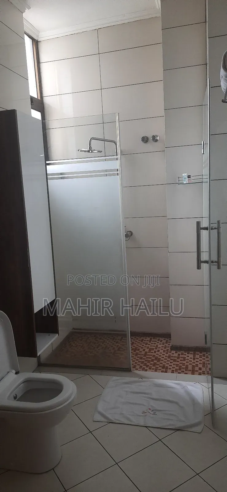 Furnished 1bdrm Apartment in Real, Bole for rent