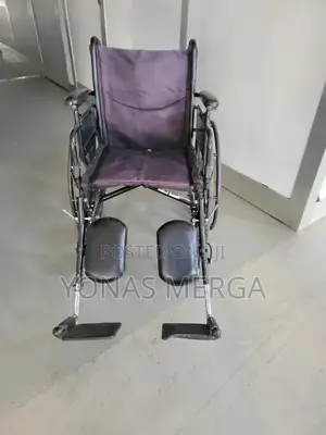 Normal Europe wheelchair局皿Wheelchair – Comfortable,Durable Recommend