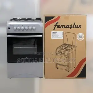 Femaslux 50×50 Freestanding Cooker 2/2-Burner Cooking Stainless Steel