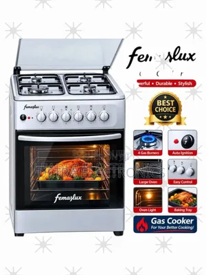 Femaslux 50×50 2+2 Hybrid Freestanding Cooker