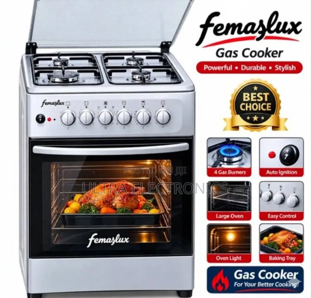 Femaslux 50×50 Hybrid Cooker – 2 Gas + 2 Electric