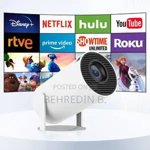 Projector (For Home)