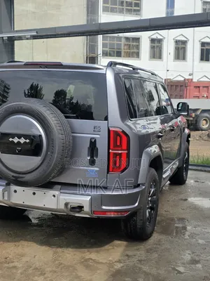 New BYD Leopard 5 2025 Gray