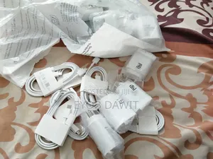 Fast Charger
