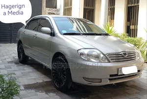 Toyota Corolla 2007 Silver