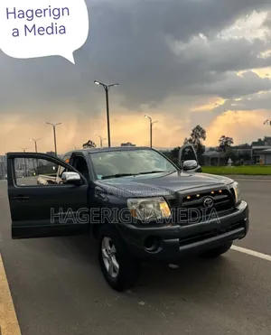 Toyota Tacoma 2008 Gray