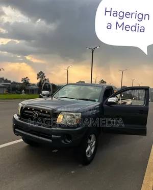 Toyota Tacoma 2008 Gray