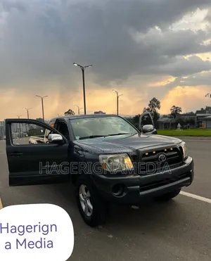 Toyota Tacoma 2008 Gray
