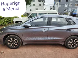 BYD E2 43 kWh 94 hp FWD 2025 Gray