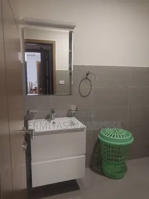 Furnished 3bdrm Apartment in Lideta for sale