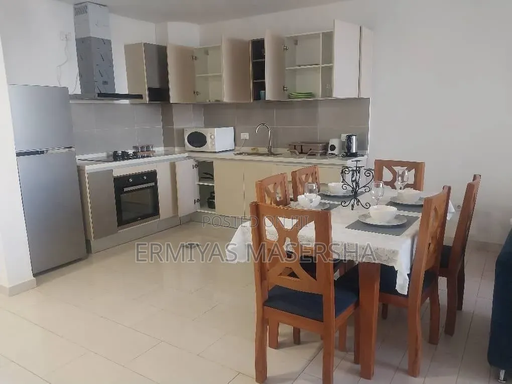 Furnished 3bdrm Apartment in Lideta for sale