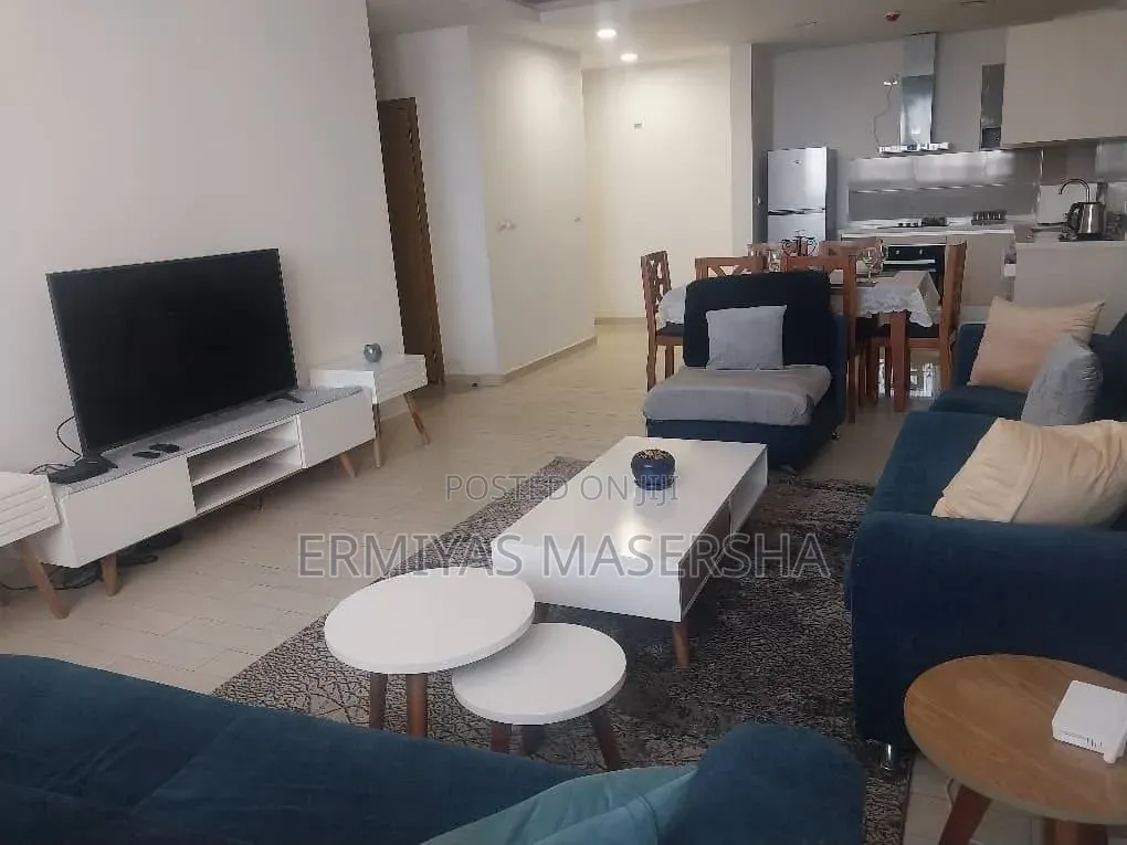 Furnished 3bdrm Apartment in Lideta for sale