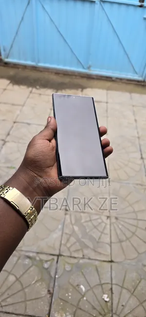 Samsung Galaxy S22 Ultra 256 GB Gray